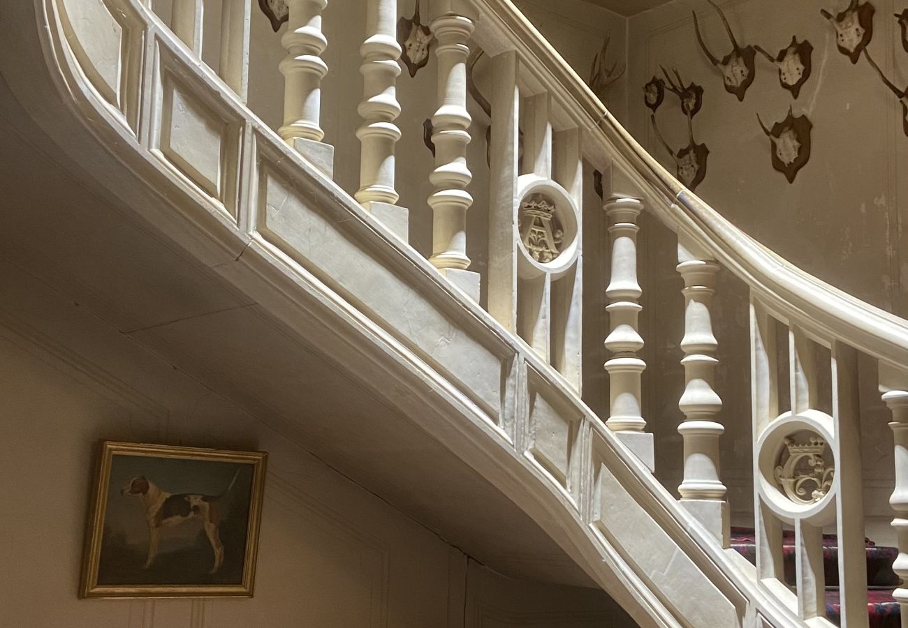 Country house in Maigné - Château de Resteau - Haut de Gamme - 15 pers - Rêv